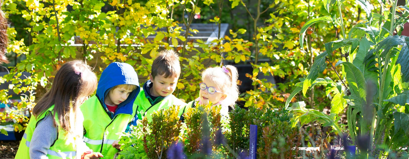 Children in the Physic Garden