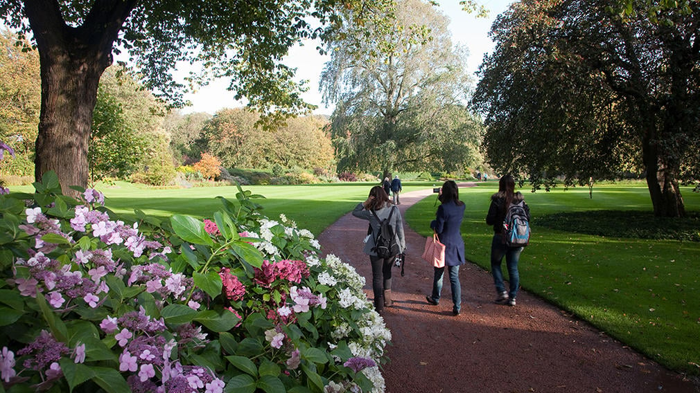 Three people walk along a path through the gardens. Flowers and trees surround them